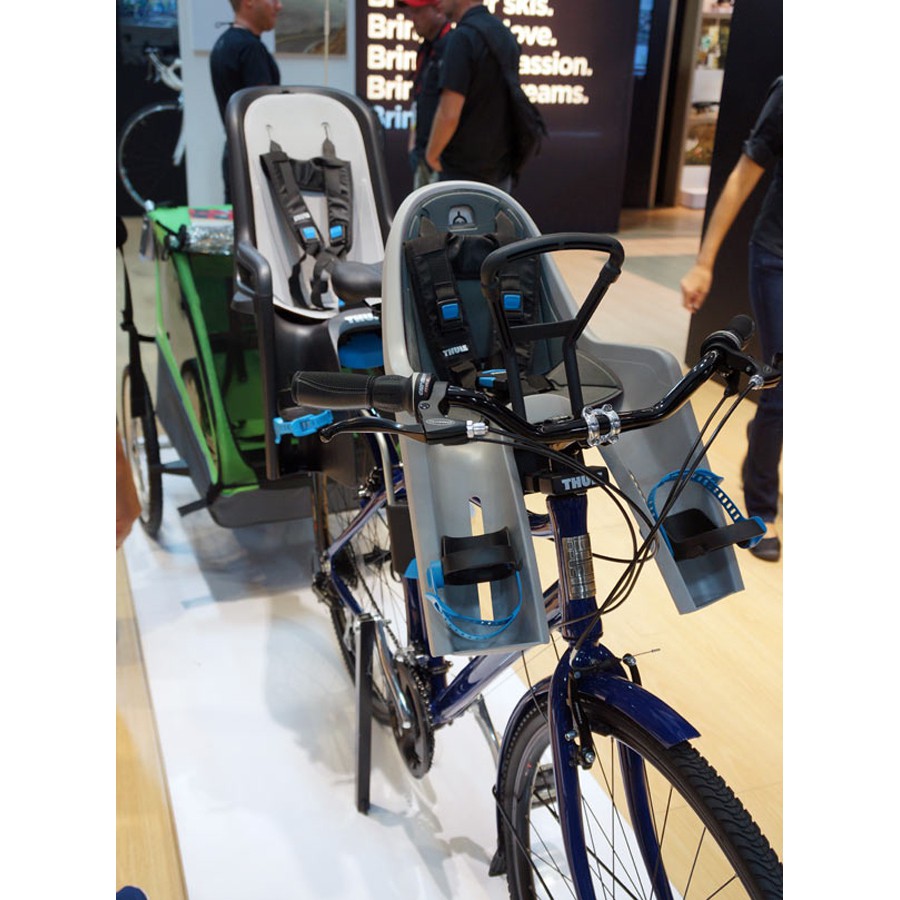 Купить Детское велосидение Thule RideAlong Mini, темно-серое